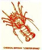 Mẫu nhãn hiệu CHEMICAL SAPONIN LOBSTER BRAND