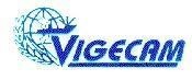 Mẫu nhãn hiệu VIGECAM