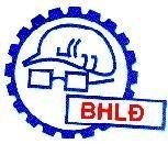 Mẫu nhãn hiệu BHLĐ