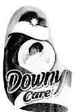 Mẫu nhãn hiệu DOWNY CARE SUNRINSE FRESH