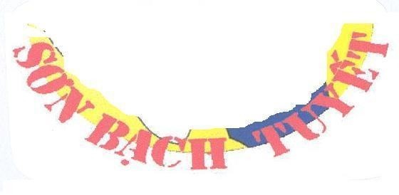 Mẫu nhãn hiệu SƠN BạCH TUYếT
