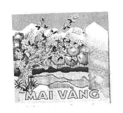 Mẫu nhãn hiệu MAI VàNG.