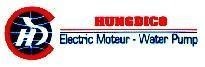 Mẫu nhãn hiệu HD HUNGDICO ELECTRIC MOTEUR-WATER PUMP