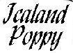 Mẫu nhãn hiệu JCALAND POPPY