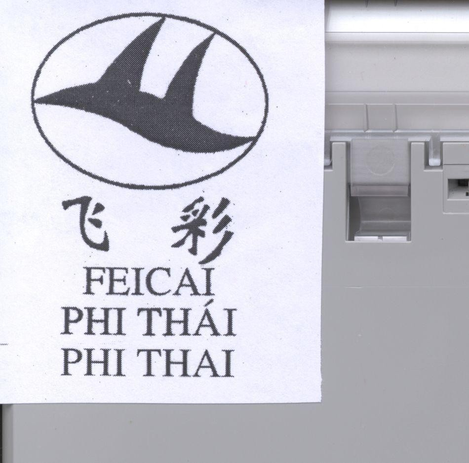Mẫu nhãn hiệu FEICAI PHI THái PHI THAI