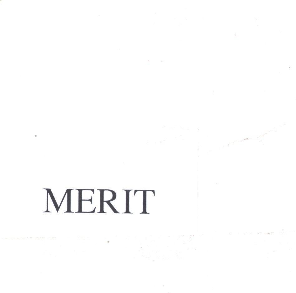 Mẫu nhãn hiệu MERIT