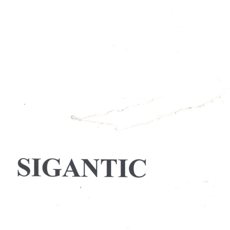 Mẫu nhãn hiệu SIGANTIC