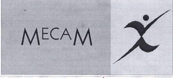 Mẫu nhãn hiệu MECAM