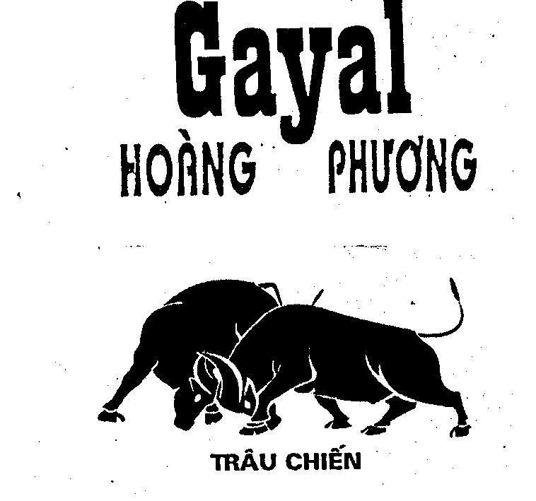 Mẫu nhãn hiệu GAYAL Hoàng Phương Trâu chiến