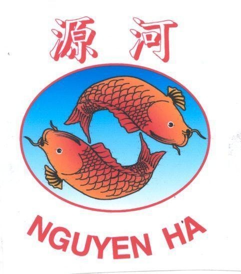 Mẫu nhãn hiệu NGUYEN HA
