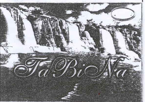 Mẫu nhãn hiệu TABINA