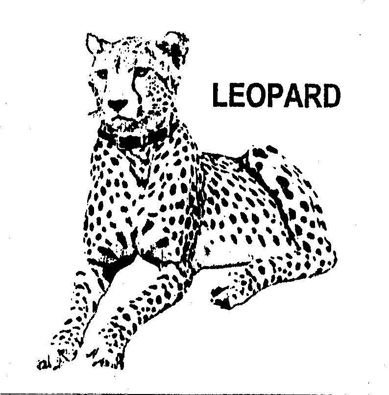 Mẫu nhãn hiệu LEOPARD