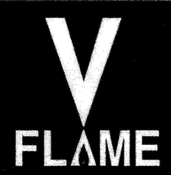 Mẫu nhãn hiệu V FLAME