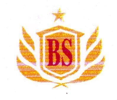 Mẫu nhãn hiệu BS BASOTA
