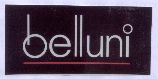 Mẫu nhãn hiệu BELLUNI