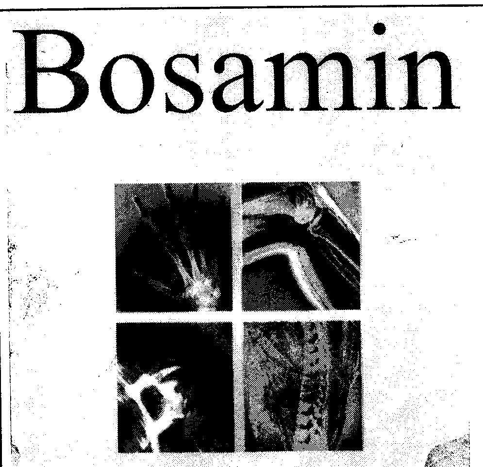 Mẫu nhãn hiệu BOSAMIN