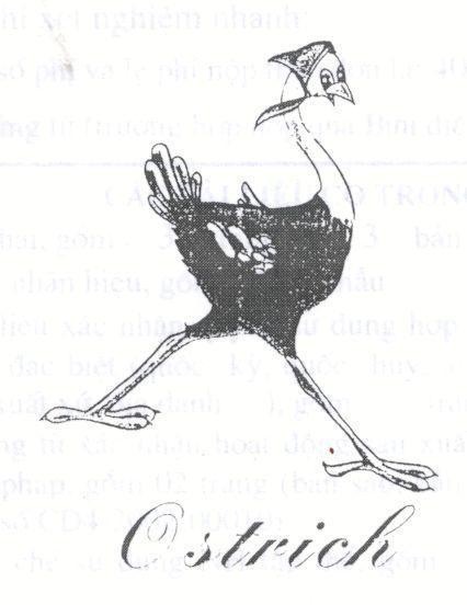 Mẫu nhãn hiệu OSTRICH
