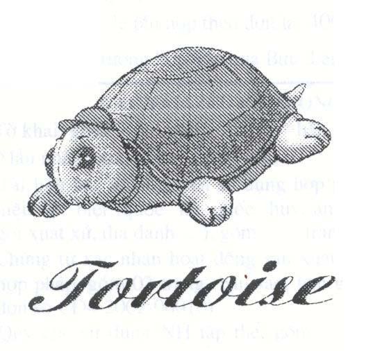 Mẫu nhãn hiệu TORTOISE