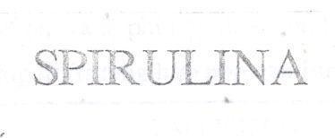 Mẫu nhãn hiệu SPIRULINA