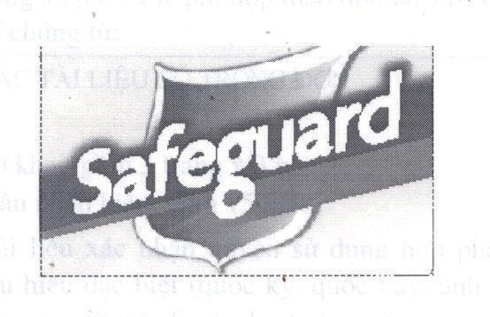Mẫu nhãn hiệu SAFEGUARD