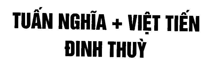 Mẫu nhãn hiệu Tuấn Nghĩa + Việt Tiến Đinh Thùy