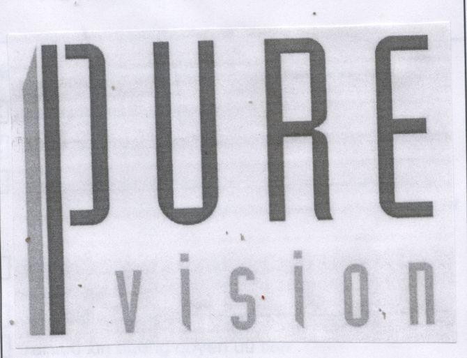 Mẫu nhãn hiệu PURE VISION