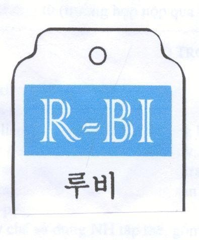 Mẫu nhãn hiệu R-BI RUBI