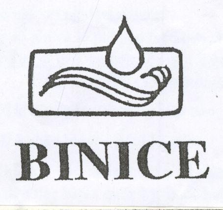 Mẫu nhãn hiệu BINICE