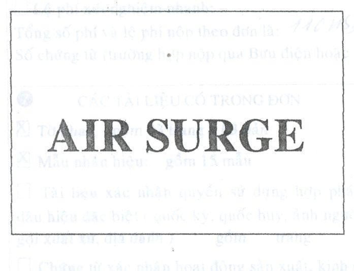 Mẫu nhãn hiệu AIR SURGE