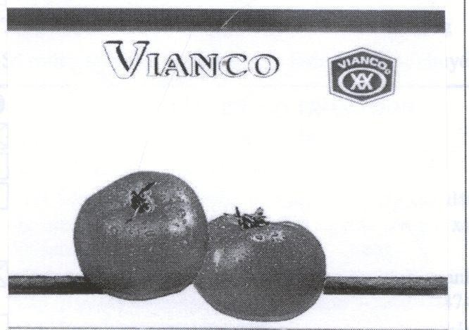 Mẫu nhãn hiệu VIANCO VA VIANCO