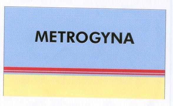 Mẫu nhãn hiệu METROGYNA