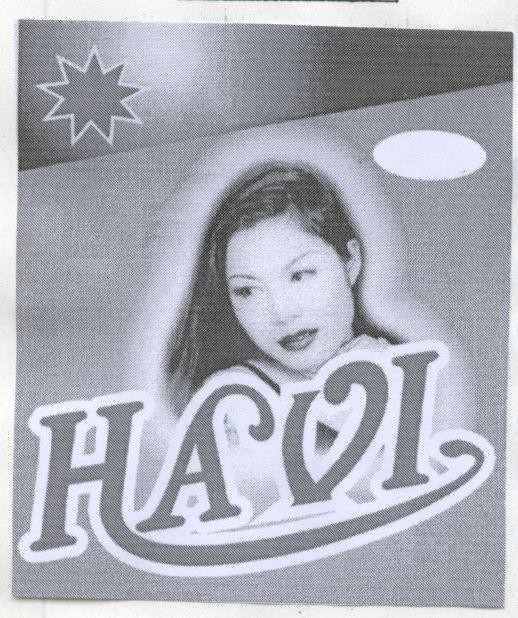Mẫu nhãn hiệu HAVI