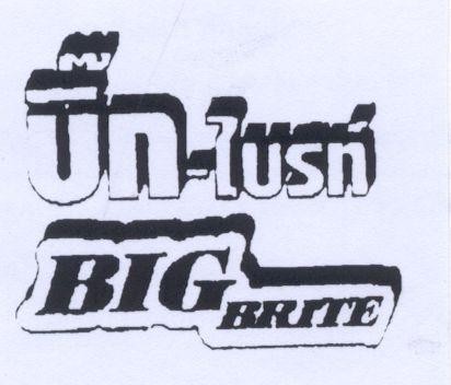 Mẫu nhãn hiệu BIG BRITE