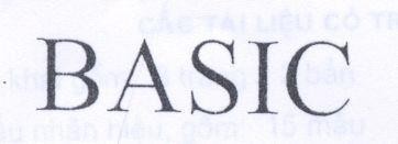 Mẫu nhãn hiệu BASIC