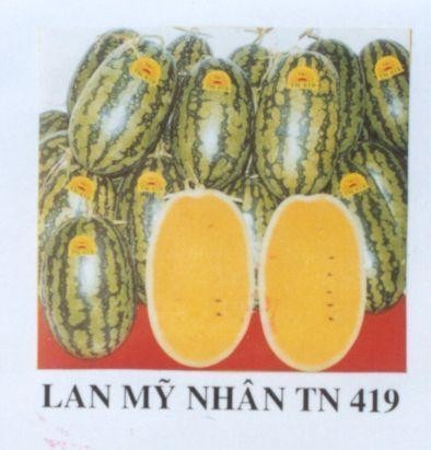 Mẫu nhãn hiệu LAN Mỹ NHÂN TN 419