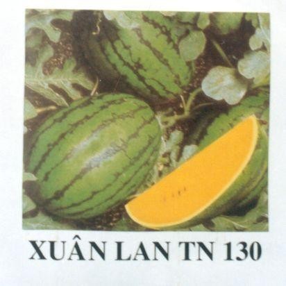 Mẫu nhãn hiệu XUÂN LAN TN 130