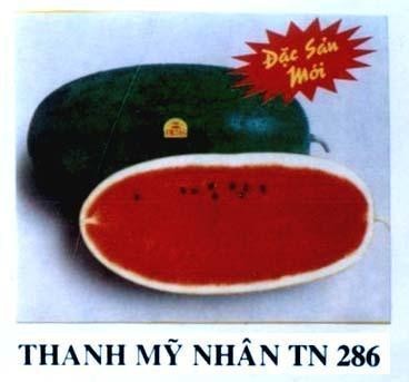 Mẫu nhãn hiệu THANH Mỹ NHÂN TN 286 ĐặC SảN MớI