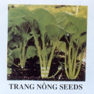 Mẫu nhãn hiệu TRANG NÔNG SEEDS
