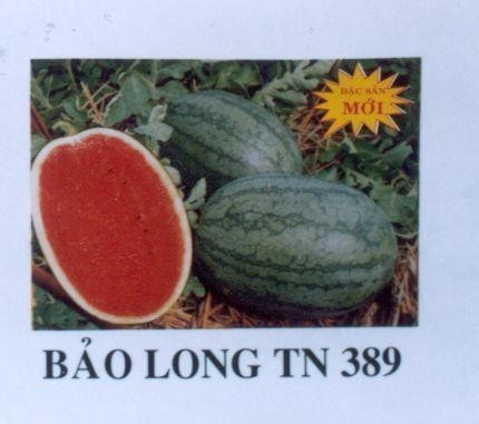 Mẫu nhãn hiệu BảO LONG TN 389 Đặc sản Mới