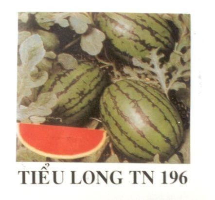 Mẫu nhãn hiệu TIểU LONG TN 196