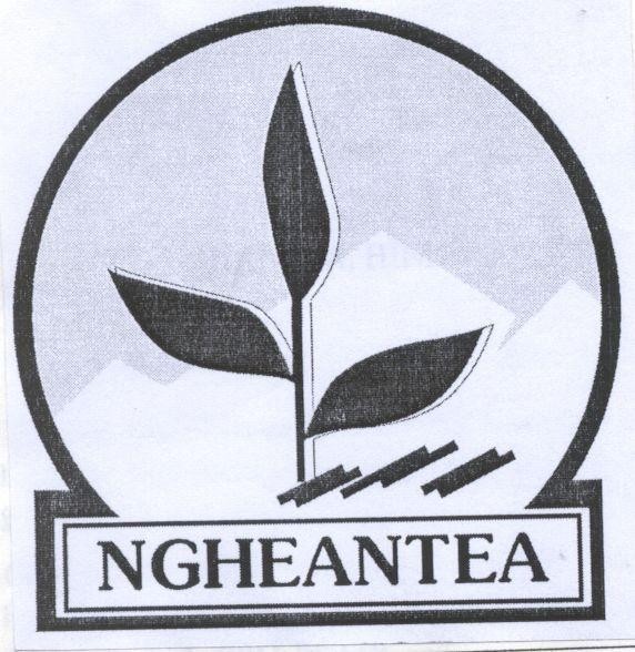 Mẫu nhãn hiệu NGHEANTEA
