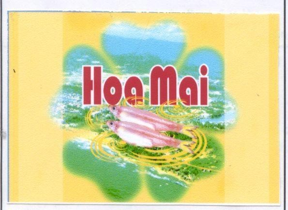 Mẫu nhãn hiệu HOA MAI