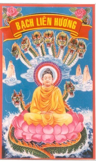 Mẫu nhãn hiệu Bạch Liên Hương