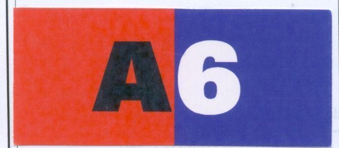 Mẫu nhãn hiệu A6