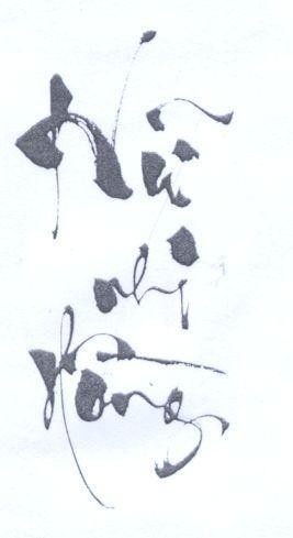 Mẫu nhãn hiệu Nữ Nhi Hồng