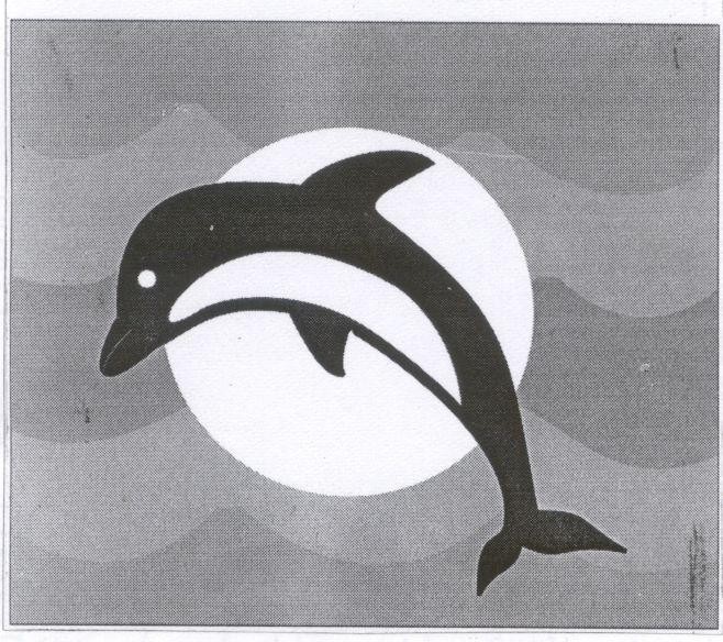 Mẫu nhãn hiệu Cá Heo/DOLPHIN