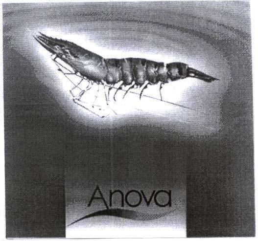 Mẫu nhãn hiệu ANOVA