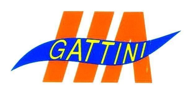 Mẫu nhãn hiệu HA GATTINI