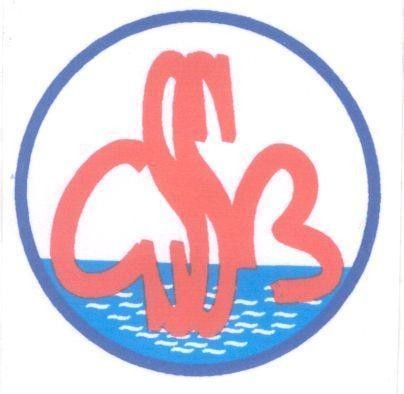 Mẫu nhãn hiệu CSSB