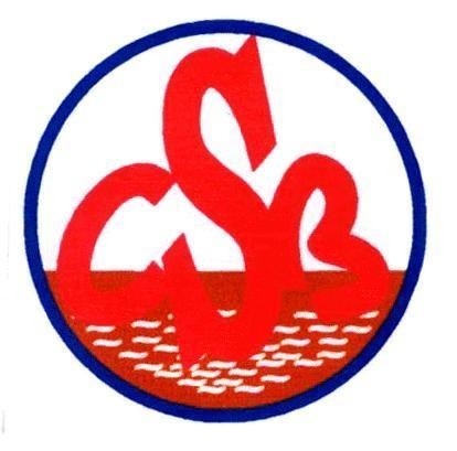 Mẫu nhãn hiệu CSB